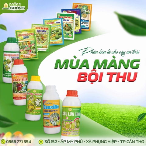 TD - Phân bón vi lượng BO KẼM 250G - Bo 30.000 ppm + MgO 5.010 ppm + EDTA-Zn 4.110 ppm + Solubor 30.000 ppm - Giữ hoa, nuôi trái non, dưỡng trái