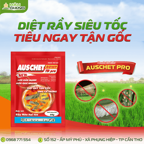 TD - Thuốc trừ sâu AUSCHET 80WP PRO 25GR - Nitenpyram 40% w/w + Pymetrozine 40% w/w - Kiểm soát rầy nâu hiệu quả: trứng – rầy non – rầy trưởng thành
