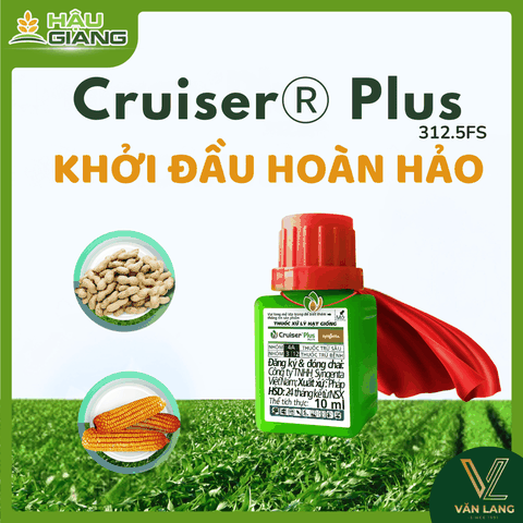 SYNGENTA - Thuốc xử lý hạt giống CRUISER PLUS 312.5FS 10ML - Thiamethoxam 262.5 g/L + Difenoconazole 25 g/L + Fludioxonil 25 g/L - Kiểm soát hiệu quả bọ trĩ (bù lạch), sâu xám, côn rùng chích hút
