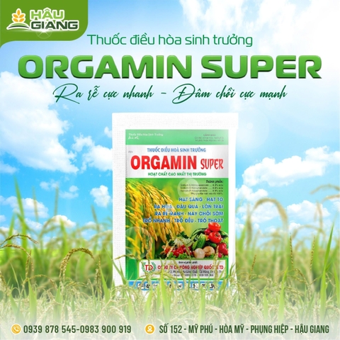 HẬU GIANG - Thuốc kích thích sinh trưởng ORGAMIN SUPER 1.8SL 20ML - Sodium-5-Nitroguaiacolate 0.3% w/w + Sodium-P-Nitrophenolate 0.9% w/w + Sodium-P-Nitrophenolate 0.9% w/w - Kích thích tăng trưởng
