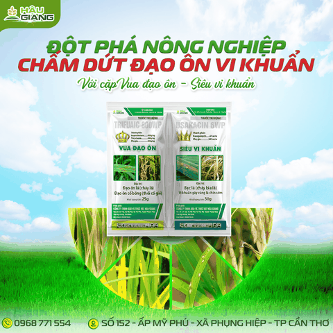 HẬU GIANG - Thuốc trừ bệnh VUA ĐẠO ÔN SIÊU VI KHUẨN 55GR - Tricyclazole 400g/kg + Isoprothiolane 400g/kg + Kasugamycin 6%w/w - Phòng trị đạo ôn lá, đạo ôn cổ bông, bạc lá, cháy bìa lá