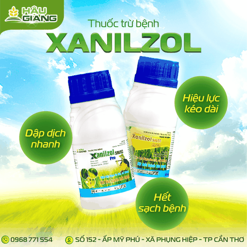 HVD - Thuốc trừ bệnh XANILZOL GOLD 500SC 240ML - Fenoxanil: 300g/l +  Hexaconazole: 200g/l - Phòng trừ mạnh đối với bệnh lem lép hạt, khô vằn, cháy bìa lá, đạo ôn cổ bông – đạo ôn lá