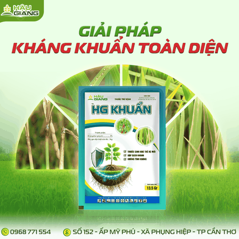 HẬU GIANG - Thuốc trừ bệnh HG KHUẨN 3WP 13.5GR - Zhongshengmycin: 3% - Giảm đóm lá, bạc lá, thối nhũn, loét quả, thối cuống,...
