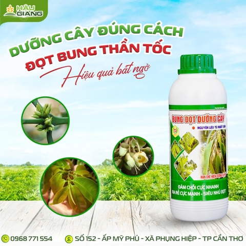TD - Phân bón hỗn hợp NPK BUNG ĐỌT DƯỠNG CÂY 500ML -  Nts 5%w/v + P₂O₅hh 6%w/v + K₂Ohh 7% w/v - ĐÂM CHỒI NHANH, RA RỄ KHỎE
