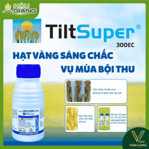 SYNGENTA - Thuốc trừ bệnh TILF SUPER 300EC 250ML - Difenoconazole 150g/L + Propiconazole 150g/L - Phòng & trị bệnh nấm phổ rộng: rỉ sắt, nấm hồng, thán thư, khô vằn, lem lép hạt