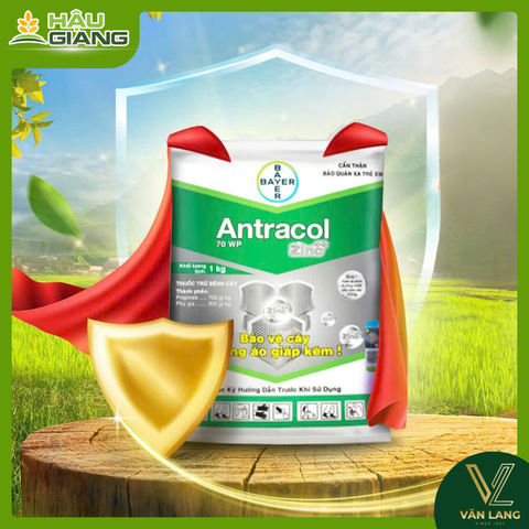 BAYER - Thuốc trừ bệnh ANTRACOL 70WP 1KG - PROPINEB 700 g/kg - Chuyên trị thán thư, sương mai, đạo ôn, khô vằn,... giúp lá xanh, đứng lá