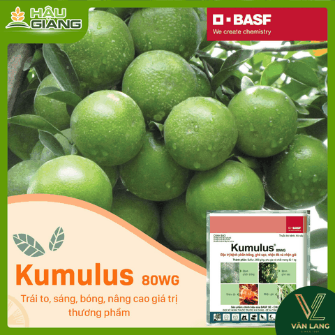 BASF - Thuốc trừ bệnh KUMULUS® 80WG 1kg - Sulfur 800 g/kg -Trừ bệnh phấn trắng, ghẻ sẹo, mốc tán đốm mốc, đốm phấn, nhện đỏ, nhện gié