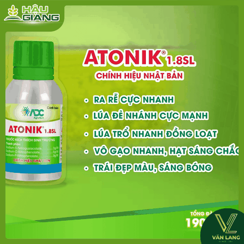 ADC - Thuốc kích thích điều hòa sinh trưởng ATONIK 1.8SL 100ml - Sodium 5-nitroguaiacolate 3 g/lít + Sodium O-nitrophenolate 6 g/lít + Sodium P-nitrophenolate 9 g/lít - giúp tăng khả năng hình thành rễ, thúc đẩy nảy mầm, mở rộng bộ lá và nâng cao sự ổn định hình thành hoa – quả