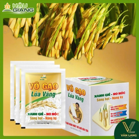 LÚA VÀNG - Phân bón lá Vô Gạo Lúa Vàng - Giải pháp giúp lúa chín nhanh, vô gạo mạnh, sáng hạt, nâng cao năng suất 🌾