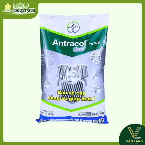 BAYER - Thuốc trừ bệnh ANTRACOL 70WP 1KG - PROPINEB 700 g/kg - Chuyên trị thán thư, sương mai, đạo ôn, khô vằn,... giúp lá xanh, đứng lá
