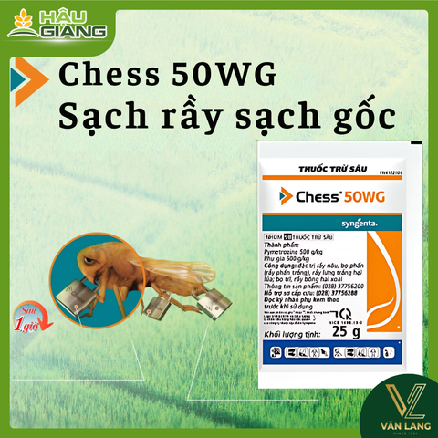 SYNGENTA - Thuốc trừ sâu CHESS 50WG 25g - Pymetrozine: 500 g/kg - Đăc trị rầy nâu, rầy phấn trắng, rầy lưng trắng, bọ trĩ, rầy bông,...