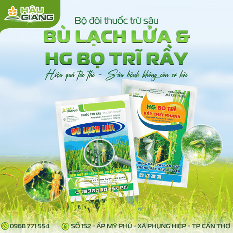 HẬU GIANG - HG BỌ TRĨ RẦY CHẾT NHANH 20GR - Acetamiprid 125g/kg + Imidacloprid 125g/kg - Phòng trừ rầy nâu, rầy xanh, bọ trĩ trên lúa, cây ăn trái và rau màu.