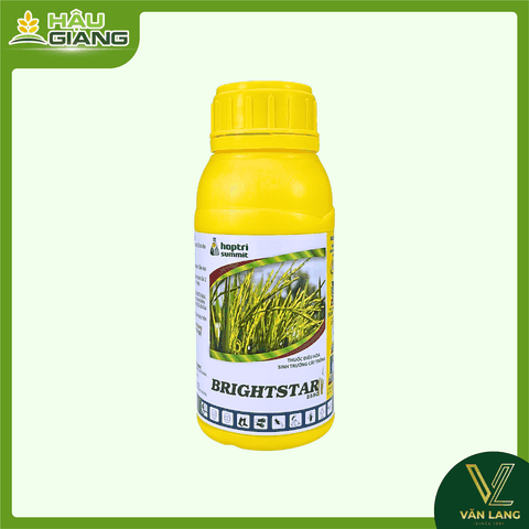 HỢP TRÍ - Thuốc điều hoà sinh trưởng BRIGHTSTAR 25SC 500ml - Paclobutrazol 250 g/L - Giúp cây phát triển thân, tăng số chòi hữu hiệu, giúp cây tập trung dinh dưỡng cho giai đoạn làm bông trái