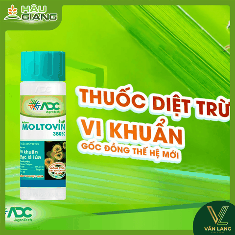 ADC - Thuốc trừ bệnh MOLTOVIN 380SC 250ml - Tribasic Copper Sulfate 345 g/lít + Cymoxanil 35 g/lít - Phòng trị bạc lá, cháy lá, sạm lá