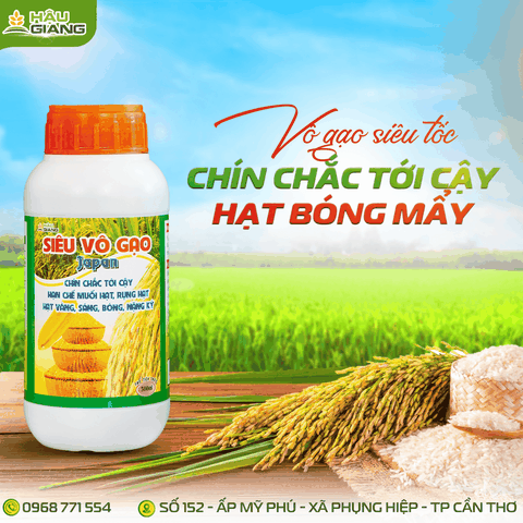 HẬU GIANG - Phân bón hỗn hợp SIÊU VÔ GẠO JAPAN 500ML - N 5% + P₂O₅ 6% + K₂O 7% + B 150 ppm + Zn 150 ppm + Fe 150 ppm - GIÚP LÚA CHÍN CHẮC TỚI CÂY, HẠT SÁNG TO TRÒN