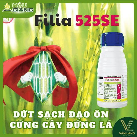 SYNGENTA - Thuốc trừ bệnh FILIA 525SE 250ML - Tricyclazole 400g/L + Propiconazole 125g/L - Phòng trị đạo ôn .