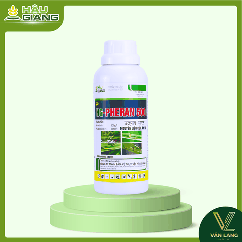 HẬU GIANG - PHERAN 500EC 480ML (PET) - Permethrin 500g/l -  Phòng trừ sâu cuốn lá, sâu đục thân, rầy nâu, bọ trĩ, sâu tơ, sâu xanh, sâu đục quả