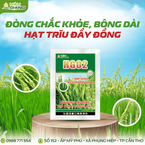 HẬU GIANG - Phân bón NPK HG 02 JAPAN 40GR - P₂O₅ 30% + K₂O 20% - Dưỡng cây giai đoạn làm đồng, trổ bông