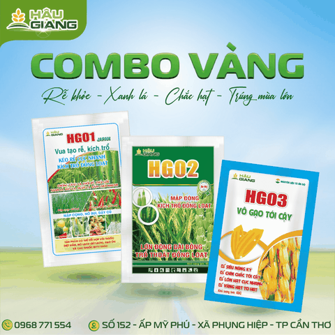 HẬU GIANG - Phân bón NPK HG 02 JAPAN 40GR - P₂O₅ 30% + K₂O 20% - Dưỡng cây giai đoạn làm đồng, trổ bông