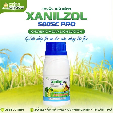 HẬU GIANG - Thuốc trừ bệnh XANILZOL PRO 500SC 240ML - Fenoxanil: 300g/l + Hexaconazole: 200g/l - Đặc trị đạo ôn lá, đạo ôn cổ bông