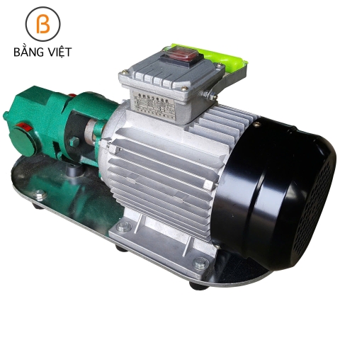 Bơm dầu bánh răng Diesel, dầu hỏa, dầu động cơ, dầu thủy lực, dầu bánh răng 220V 380V 110L/P