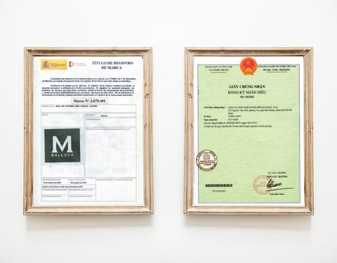 Chậu rửa bát Malloca chế tác của Châu Âu