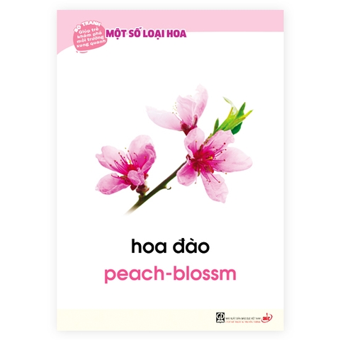 Bộ tranh giúp trẻ khám phá môi trường xung quanh – Một số loại hoa (song ngữ Việt - Anh)