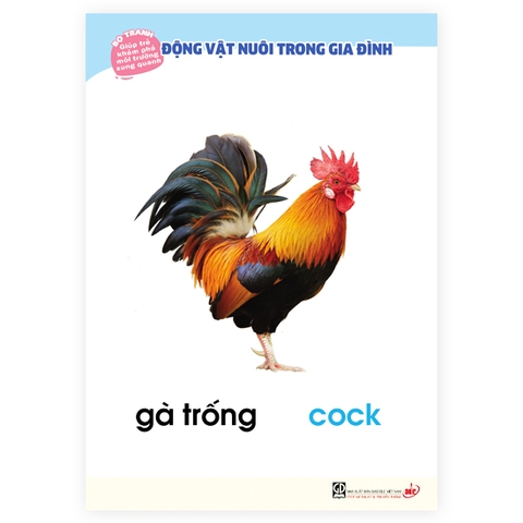 Bộ tranh giúp trẻ khám phá môi trường xung quanh – Động vật nuôi trong gia đình (song ngữ Việt - Anh)