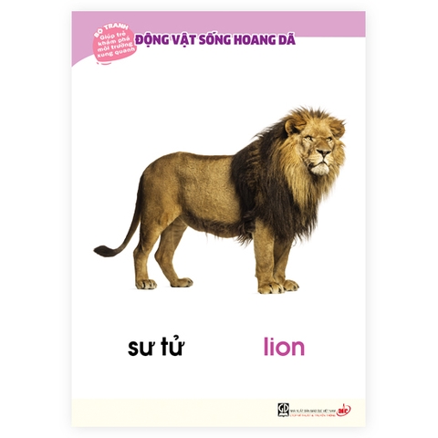 Bộ tranh giúp trẻ khám phá môi trường xung quanh – Động vật sống hoang dã (song ngữ Việt - Anh)