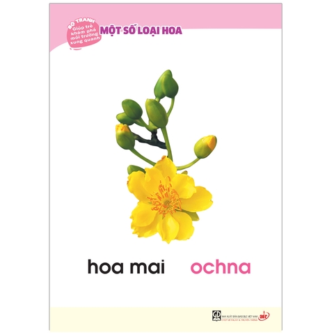 Bộ tranh giúp trẻ khám phá môi trường xung quanh – Một số loại hoa (song ngữ Việt – Anh)