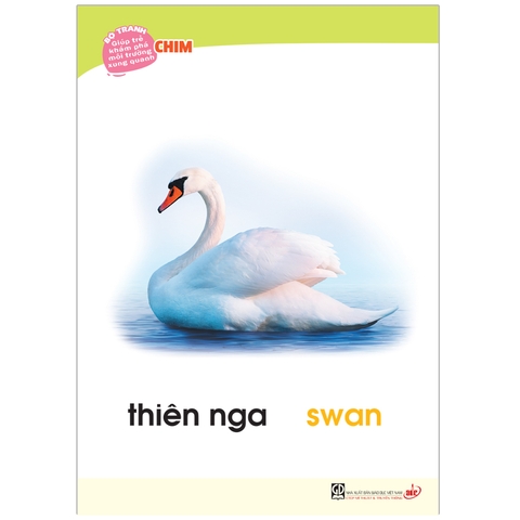 Bộ tranh giúp trẻ khám phá môi trường xung quanh – Côn trùng, chim (song ngữ Việt – Anh)