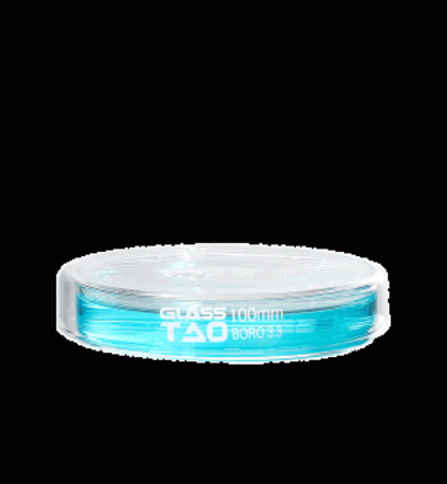 Đĩa petri thủy tinh GLASSTAO