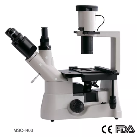 Kính hiển vi sinh học soi ngược đầu ba thị kính