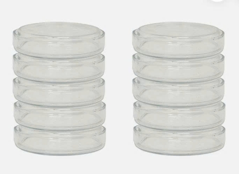 Hộp lồng petri phi 10cm