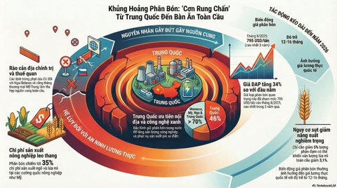Biến Động Nguồn Cung Phân Bón: Thách Thức Cho Ngành Nông Nghiệp