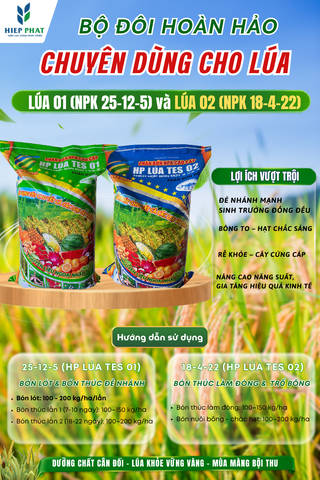 Phân Bón Chuyên Dùng Cho Lúa – Cách Lựa Chọn Và Sử Dụng Hiệu Quả