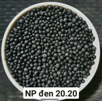 Phân Bón DAP NP 20-20
