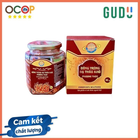 Đông trùng hạ thảo khô 20g