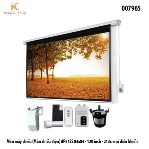 Màn chiếu điện DALITE 120 INCH (2.13×2.13m) – AP84ES – Điều khiển RF – Chính hãng – Full VAT