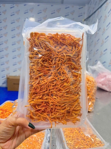 khay đông  trùng sấy khô(100g)