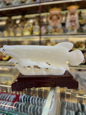CÁ RỒNG PHONG THUỶ