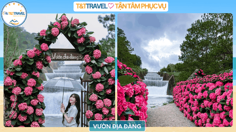 TOUR ĐÀ LẠT 3N3Đ TRỌN GÓI KHÔNG PHÁT SINH GIÁ SIÊU TIẾT KỆM 2026| XE GIƯỜNG NẰM