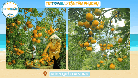 TOUR DU LỊCH CHÂU ĐỐC - LÀNG HOA SA ĐÉC 1N1Đ SIÊU TIẾT KIỆM 2026