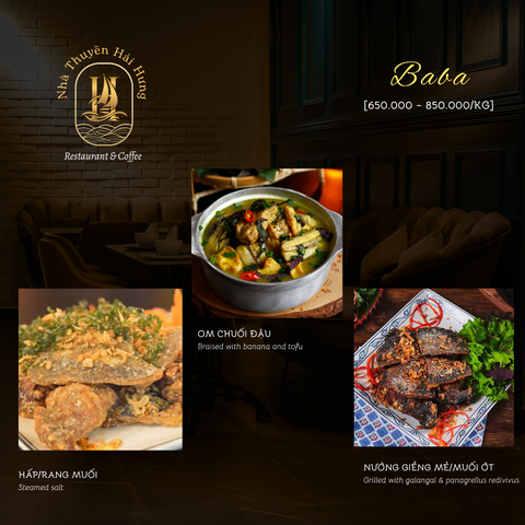 Baba (Softshell Turtle)