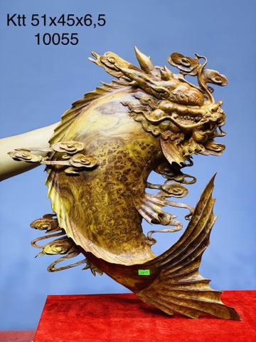 CÁ CHÉP HÓA RỒNG NU HƯƠNG 10055 SP1384