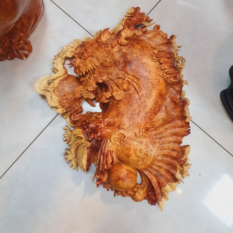 CÁ CHÉP HOÁ RỒNG NU HƯƠNG SP3767 TON