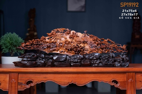 PHU THÊ SƯA GIÀ 19192