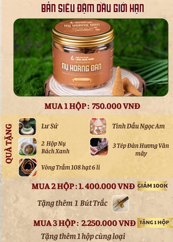 NỤ HOÀNG ĐÀN A2 19301