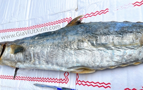 MẮM CÁ THU MUỐI DÙI NGUYÊN CON - TRÊN 1,5KG (MUỐI VÙI) A220