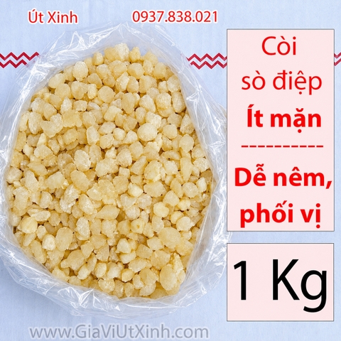 CÒI (CỒI) SÒ ĐIỆP KHÔ ÍT MẶN 1KG – DỄ NÊM NẾM, PHỐI VỊ
